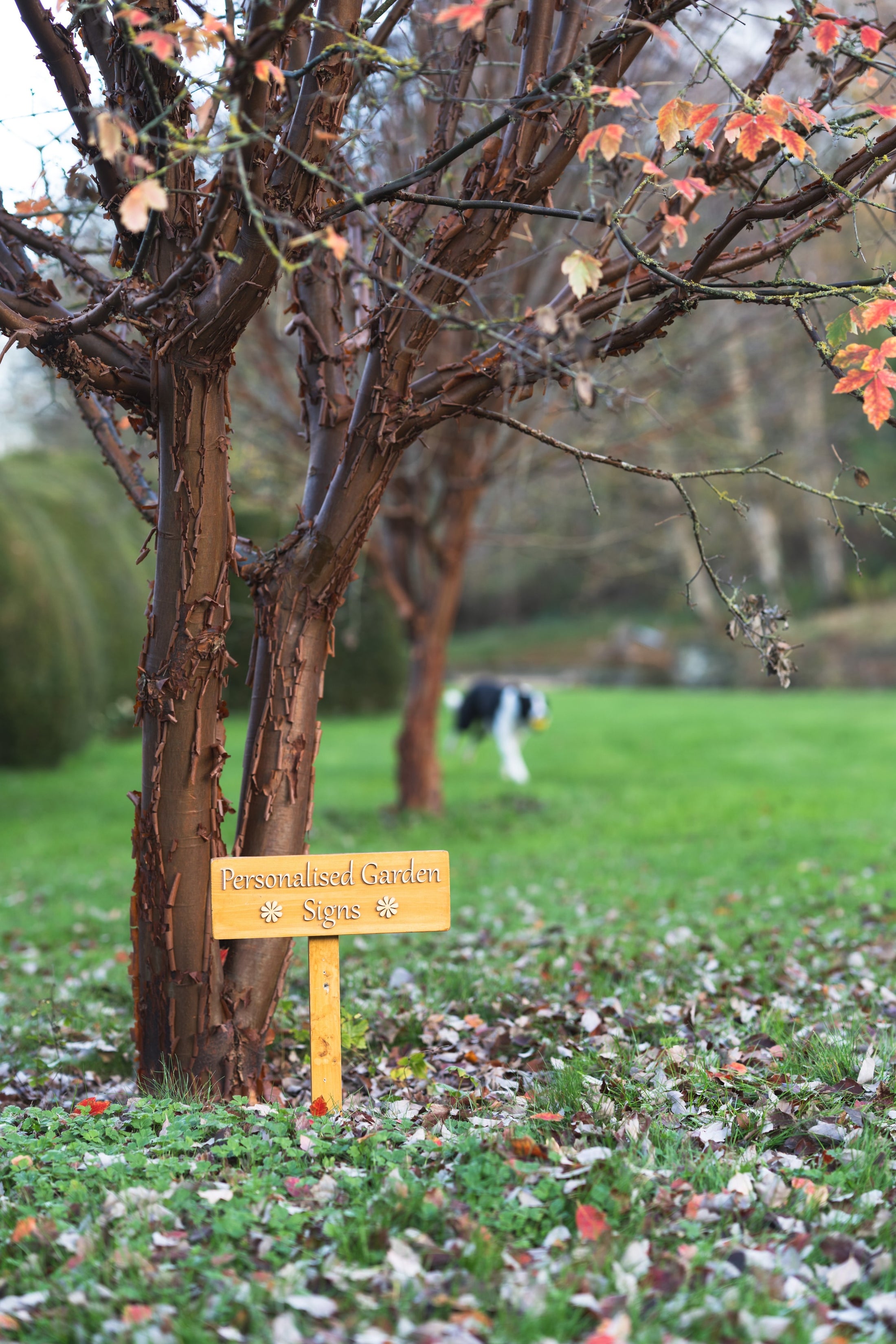 Wooden Memorial Pet Plaque